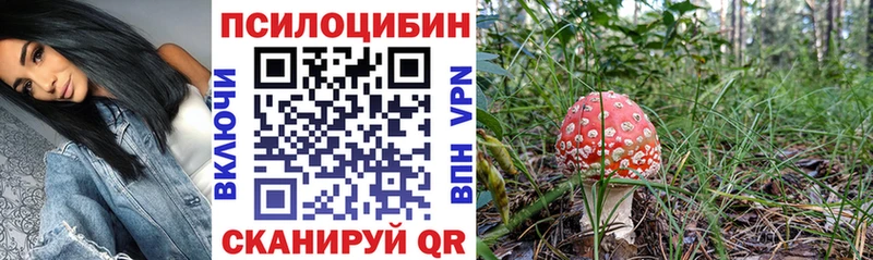 Галлюциногенные грибы Cubensis  Купить где  Сосновка 