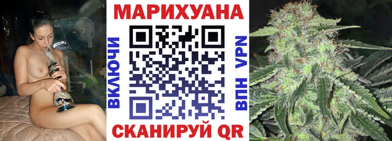 Конопля сатива Сосновка