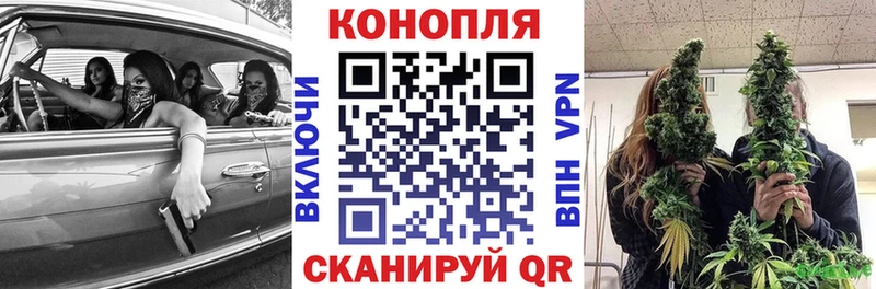 Конопля THC 21%  Купить где  Сосновка 